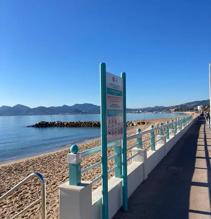 Profitez du Festival du Soleil de Cannes-1