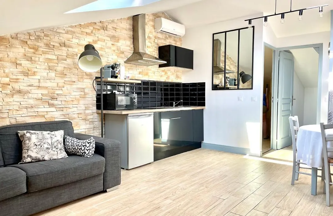 Safari Apartment In Heart Of Cannes And Beaches-1