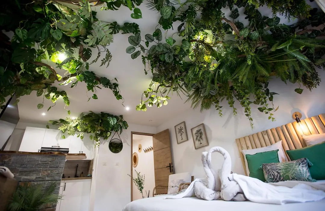 Jungle Room Jacuzzi Privé Évasion en amoureux-1