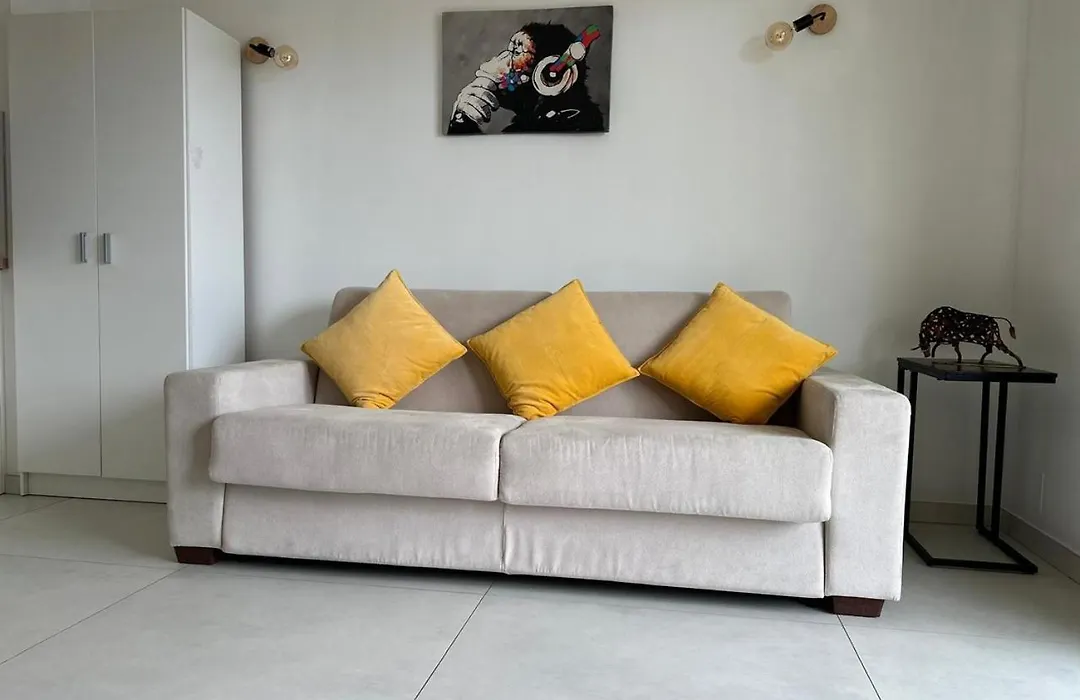 Super Apartment, Parking, Terrace, Lift, Wifi, Palm Beach, Cannes-1