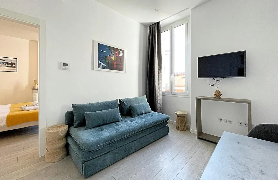 Lovely And Modern 1 Bedroom City Centre Cannes-1