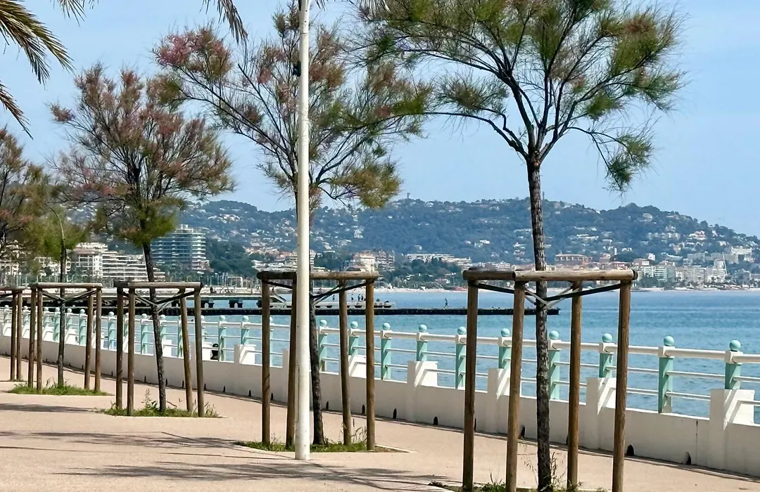 Vacances paradisiaques, Plage Cannes boccacabana, studio-1