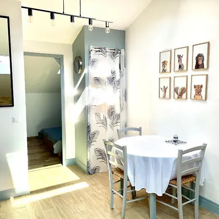 Safari Apartment In Heart Of Cannes And Beaches-2