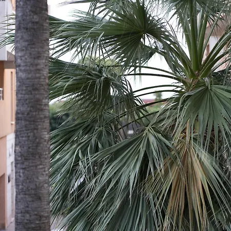 la petit maisonette de manu-2