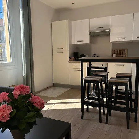Cosy Apartment In Cannes With A Terrasse-3