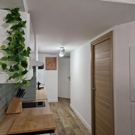 Carnot T2 - Appartement Cannes 4P-3