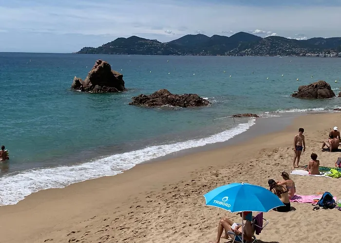 LE PALM AZUR - vue mer sur les iles de Lérins Cannes