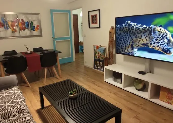 Apartment 50M From Historic Town 5Min Beach Palais Croisette - Free Private Parking Cannes