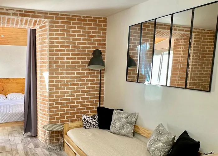 Lion'S Room - 2 Minute Walk From Palais Des Festivals And Beaches Cannes