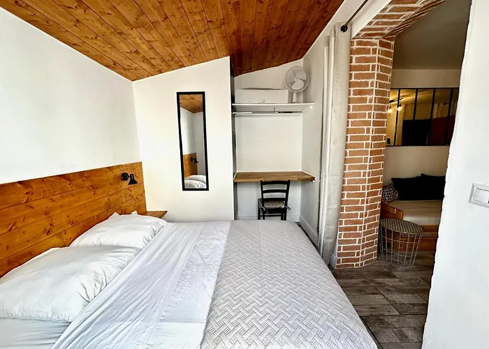 Lion'S Room - 2 Minute Walk From Palais Des Festivals And Beaches Cannes