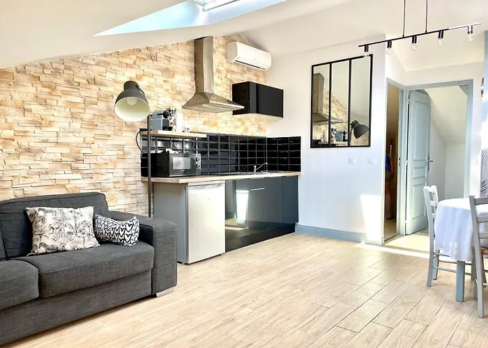 Safari Apartment In Heart Of Cannes And Beaches