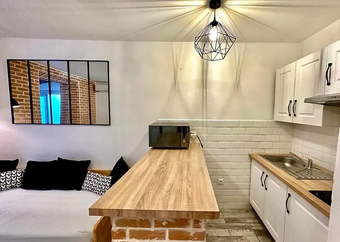 Lion'S Room - 2 Minute Walk From Palais Des Festivals And Beaches Cannes