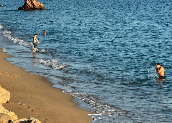 LE PALM AZUR - vue mer sur les iles de Lérins Cannes