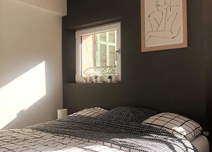 Studio cosy en plein centre-ville Cannes
