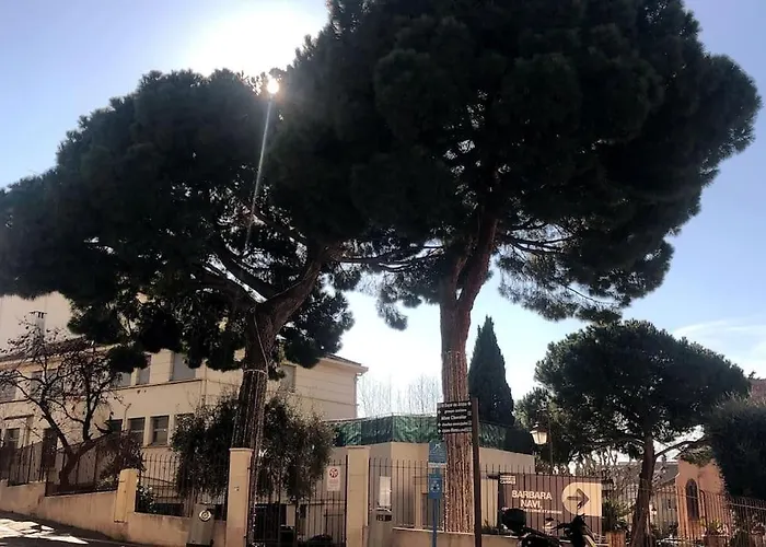Studio cosy en plein centre-ville Cannes