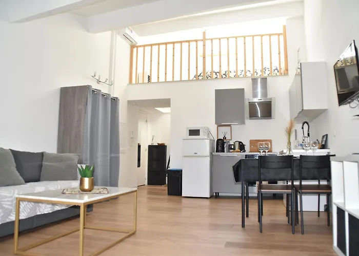 Grand Studio-Mezzanine-Centre Cannes