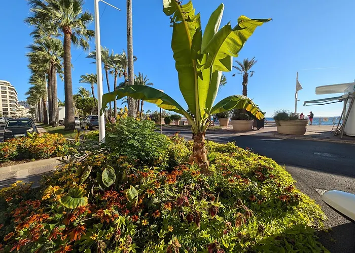 LE CHESTER - Terrasse&Clim - Croisette, Port Canto et centre à pied - Au calme Cannes