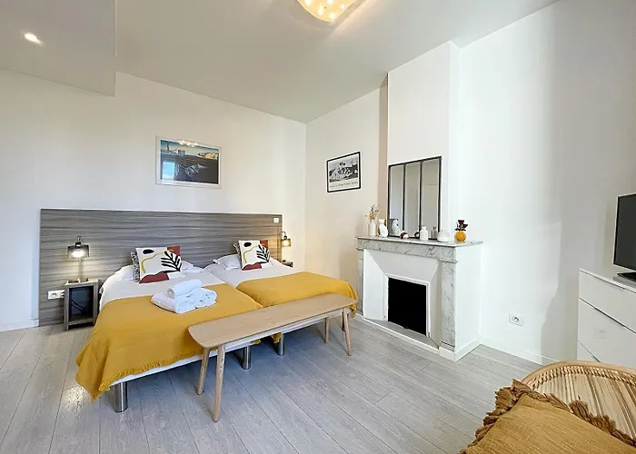 Lovely And Modern 1 Bedroom City Centre Cannes