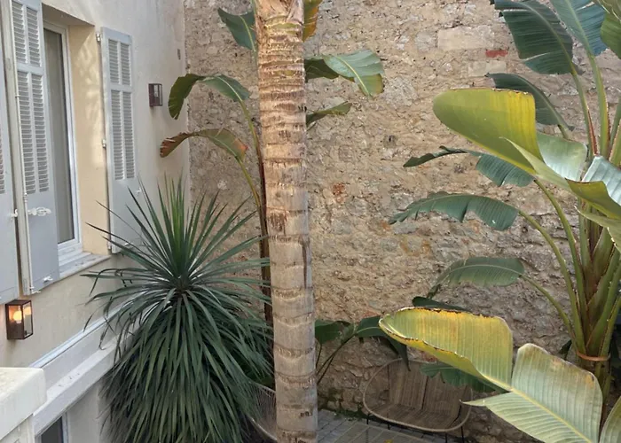 Villa Les Fougeres Studio Jardin Cannes