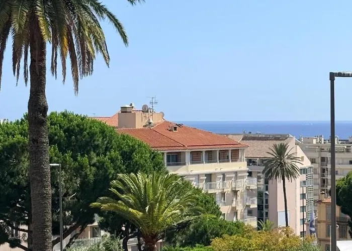 ACCI Cannes Les Yuccas