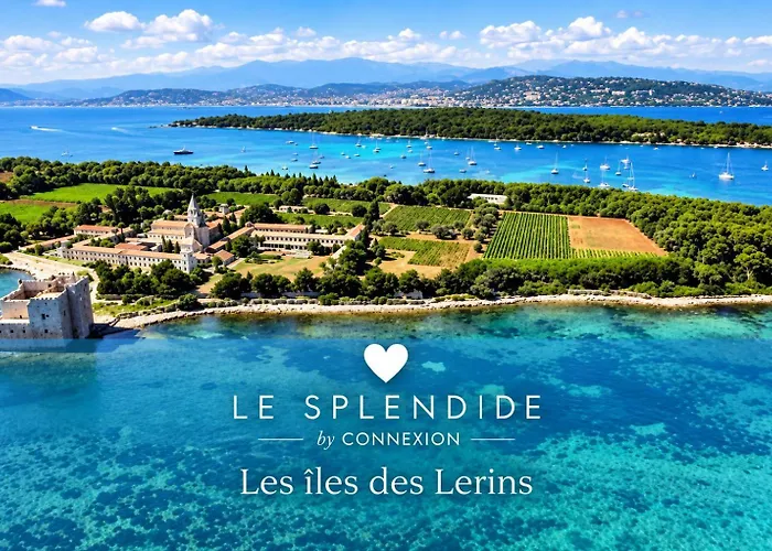 Appartement Le Splendide by Connexion à Cannes